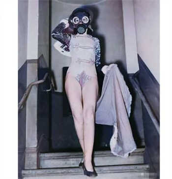 229tv少女免费视频