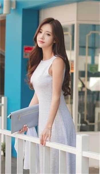 高木的黄本子