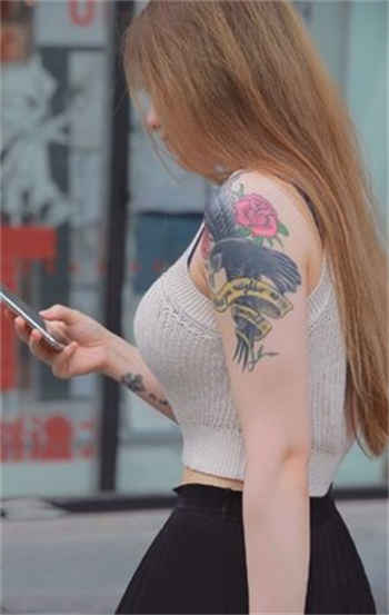江苏六年级欣系列在线