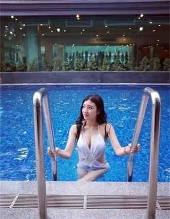 掌上w物简凝