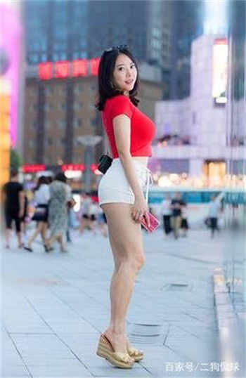 金宪魁全见