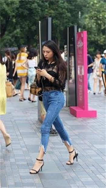 猫咪九九永久找回家首页