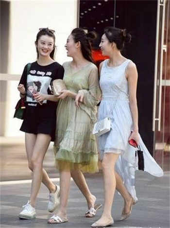 杀猪刀客的小说