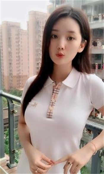 狗狗蝴蝶结状凸起